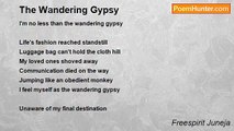 Freespirit Juneja - The Wandering Gypsy