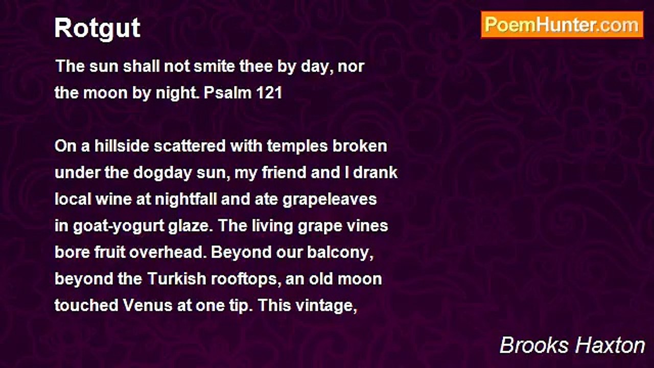 Brooks Haxton - Rotgut