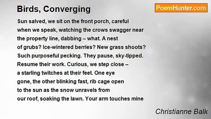 Christianne Balk - Birds, Converging