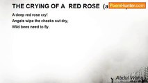 Abdul Wahab - THE CRYING OF A  RED ROSE  (a haiku)