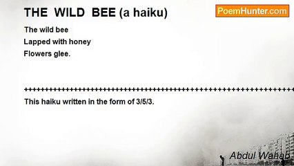Abdul Wahab - THE  WILD  BEE (a haiku)