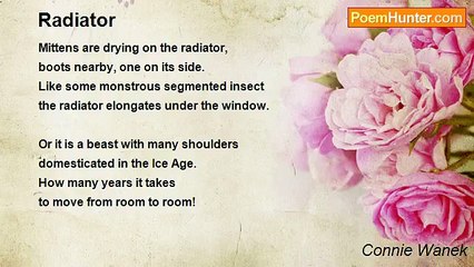 Connie Wanek - Radiator