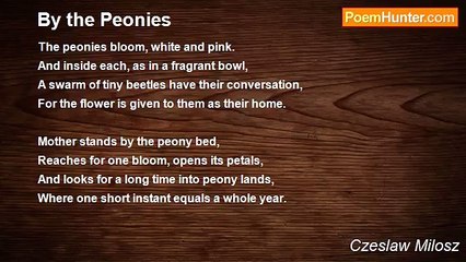 Czeslaw Milosz - By the Peonies