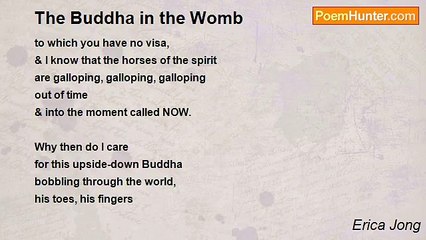 Erica Jong - The Buddha in the Womb