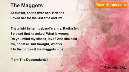 Kamala Das - The Maggots
