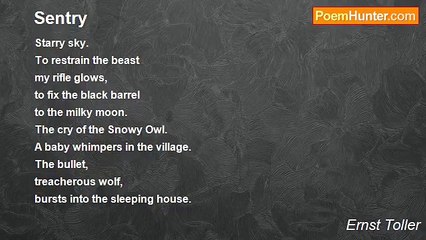 Ernst Toller - Sentry