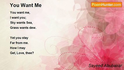Sayeed Abubakar - You Want Me
