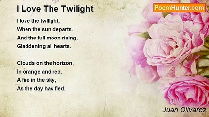 Juan Olivarez - I Love The Twilight