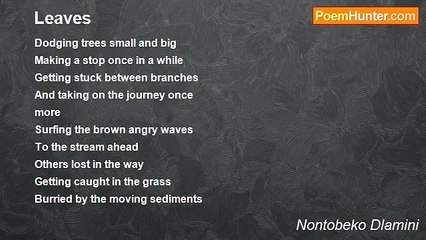 Nontobeko Dlamini - Leaves