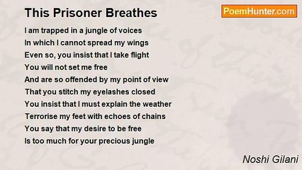 Noshi Gilani - This Prisoner Breathes