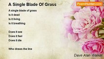 Dave Alan Walker - A Single Blade Of Grass