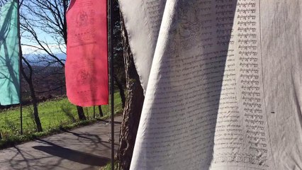 Enregistrement mobile du 10 nov. 2014