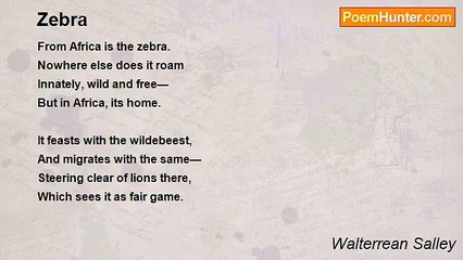 Walterrean Salley - Zebra