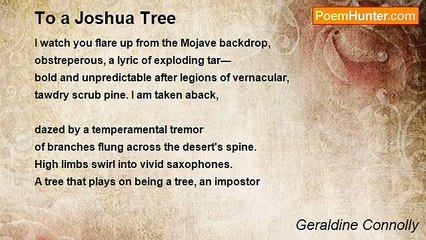 Geraldine Connolly - To a Joshua Tree