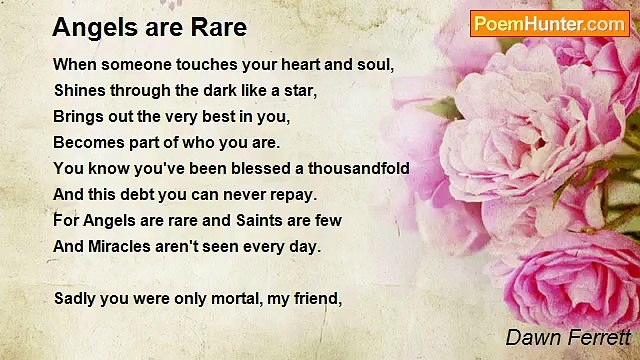 Dawn Ferrett - Angels are Rare