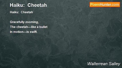 Walterrean Salley - Haiku:  Cheetah
