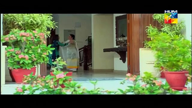 Agar Tum Na Hotay Episode 56 Full - 10 November 2014 HUM TV