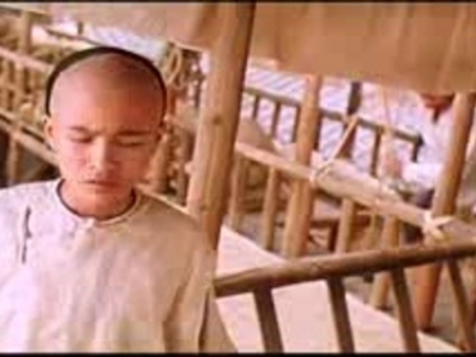 Jet Li - Iron Monkey DVD 4