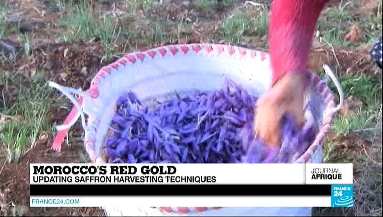 LE JOURNAL DE L'AFRIQUE - Gabon : le livre controversé de Péan utilisé par l'opposition