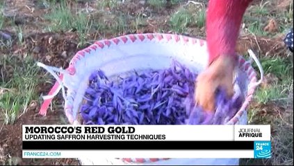 LE JOURNAL DE L'AFRIQUE - Gabon : le livre controversé de Péan utilisé par l'opposition