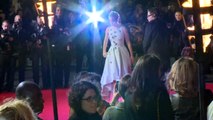 Mockingjay World Premiere: Hunger Games cast hit red carpet