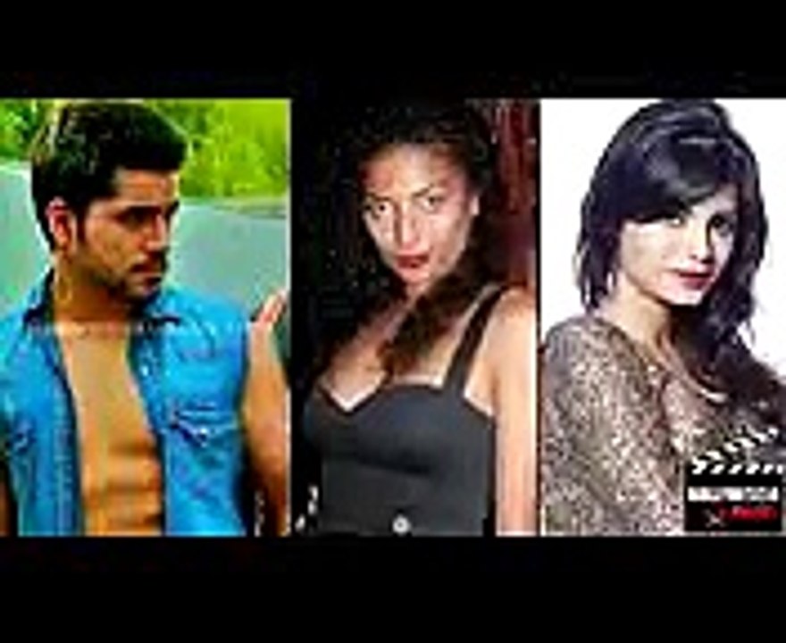 Diandra Soares PROVOKES Gautam Gulati _ BIGG BOSS 8 BY z3 video vines