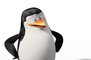 Les Pingouins de Madagascar - Video Viral (2) VO