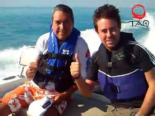 Swimming with Whale Sharks