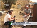 Bal Arıcılığı - Organik Bal ver Organik Arıcılık - Erzurum 2. Bölüm