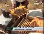 Bal Arıcılığı - Organik Bal ver Organik Arıcılık - Erzurum 5. Bölüm