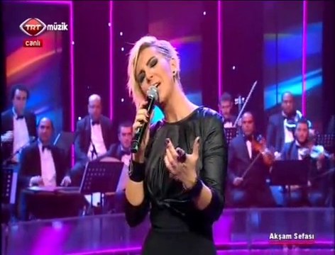 Ayşe İnak Ekiz-Bir Sevgi İstiyorum (Sevgiye Çağrı)