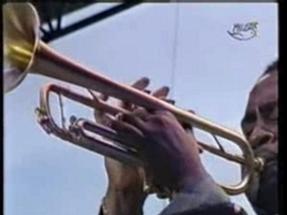 Trumpet summit - honeysuckle rose