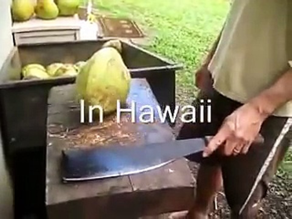 Hawaii vs Trinidad