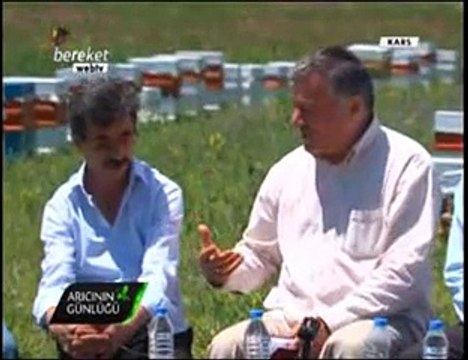 Bal Arıcılığı - Kars ve Ağrıda Arıcılık ve Bal Üretimi- 2. Bölüm