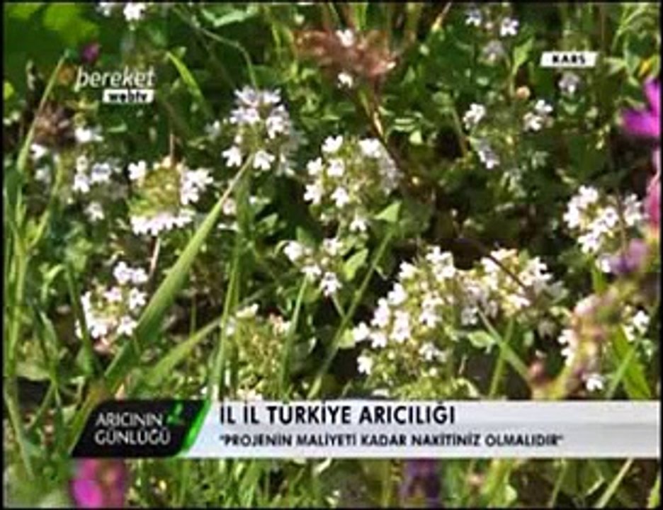 Bal Arıcılığı - Kars ve Ağrıda Arıcılık ve Bal Üretimi- 5. Bölüm