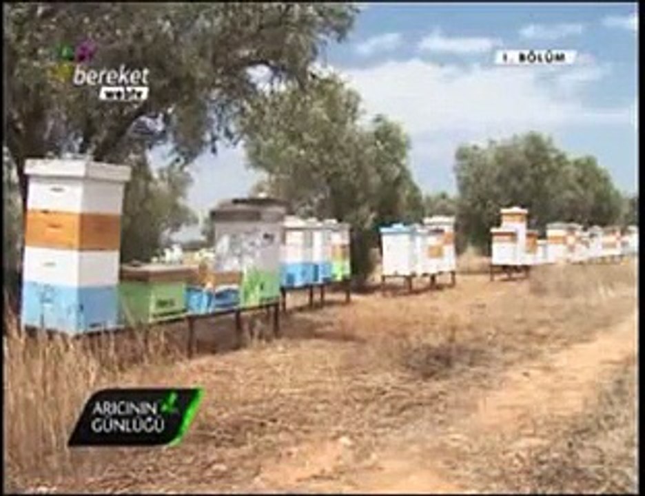 Bal Arıcılığı - Kıbrısta Arıcılık -10. Bölüm