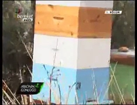 Bal Arıcılığı - Kıbrısta Arıcılık -9. Bölüm