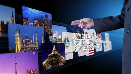 BREEO International - A Global Career Consultancy