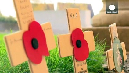 Armistice: The Wellington tunnelers are remembered