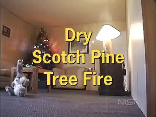 Incendio albero di Natale