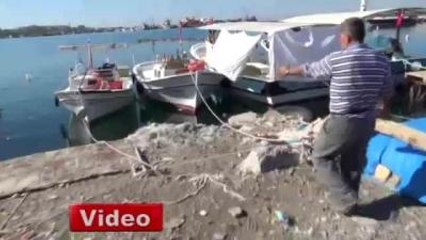 Fareler ve Yengeçler Balık Ağlarını Parçalıyor