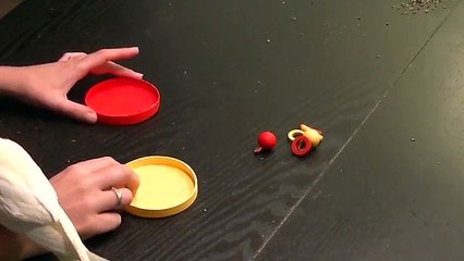 Nymphensittich Clickertraining - Spielzeug nach Farbe sortieren