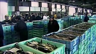 NHK 小さな旅 : 全国から 魚を求めて : 羅臼町　北海道