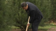 Leaders plant trees at APEC summit