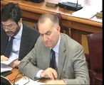 Roma - Audizioni sulla riforma del terzo settore (10.11.14)