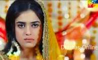 Aik Pal Promo 2 New Drama on Hum Tv