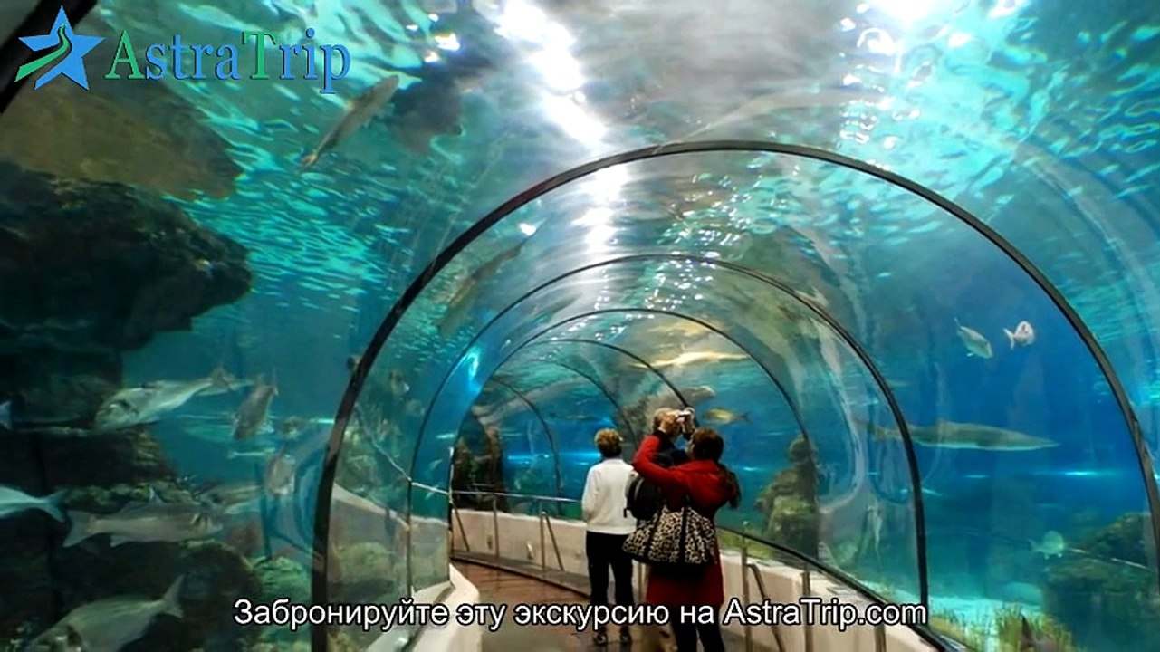 Пешеходная экскурсия с посещением аквариума Барселоны