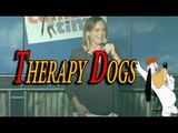 Stand Up Comedy by Shelagh Ratner - Therapy Dogs