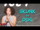 Stand Up Comedy By Laura Swisher - Skunk VS Dog