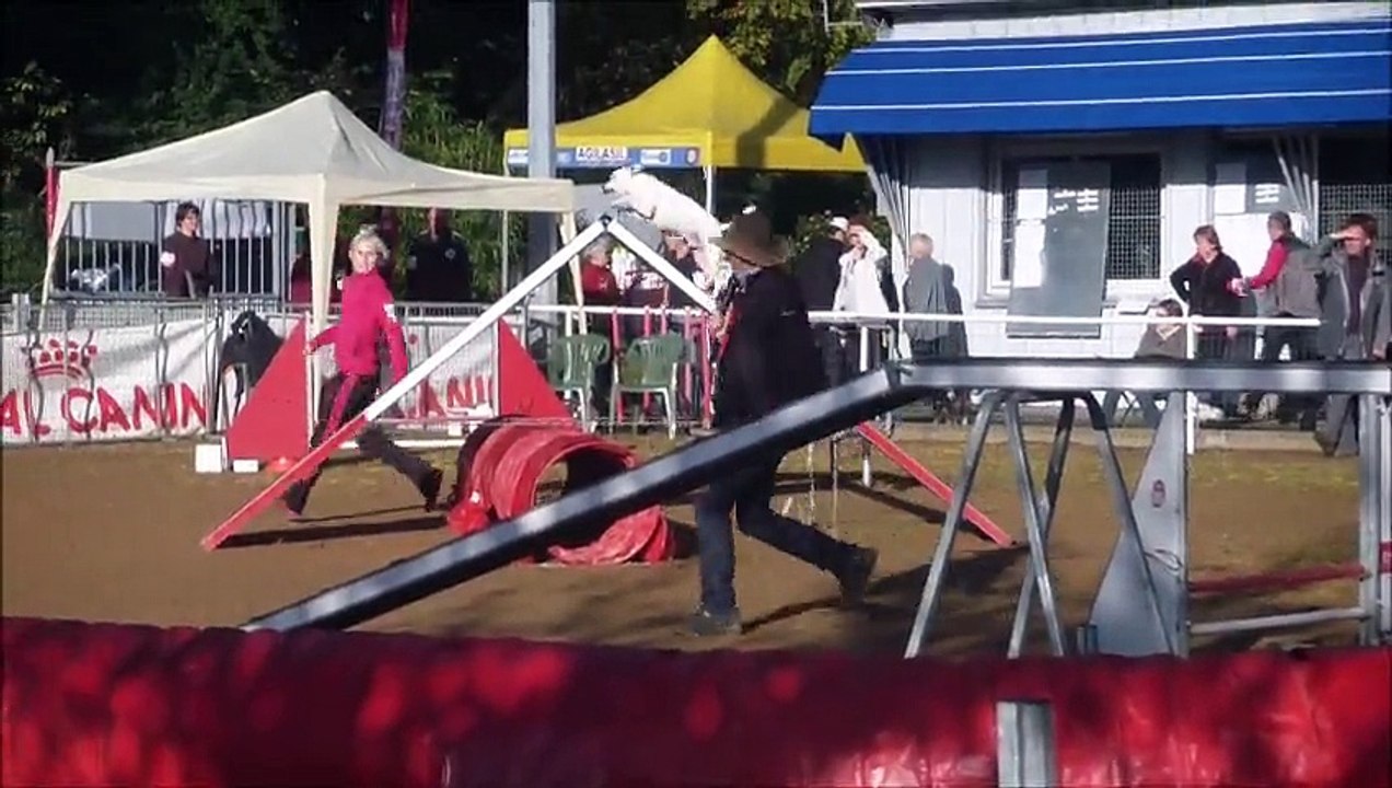 Eclipse Concours de Cholet 2014-11-09